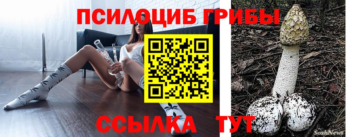 Галлюциногенные грибы MAGIC MUSHROOMS Новосибирск
