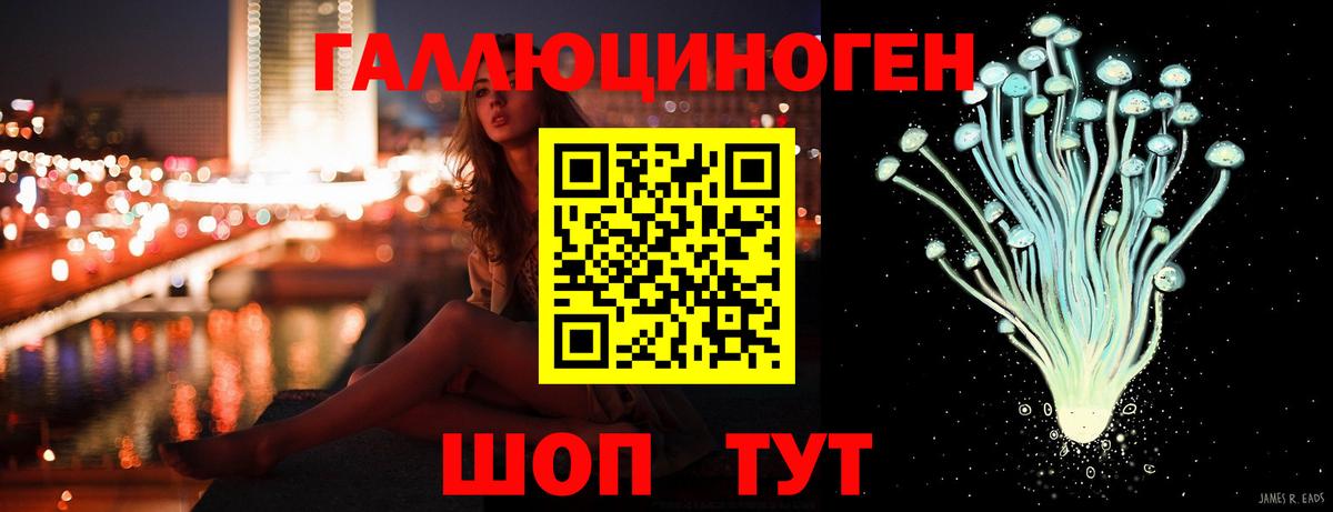 Новосибирск  Псилоцибиновые грибы мухоморы  Вход с VPN 